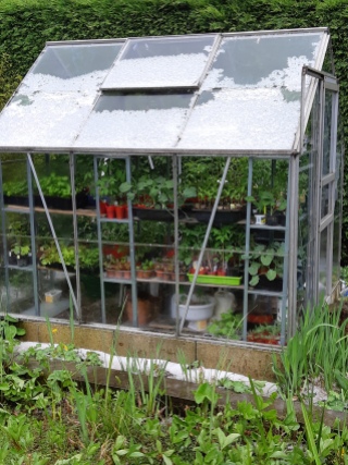 Kas greenhouse